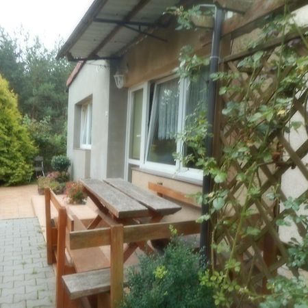 Apartament Przy lesie Nowe Zewnętrze zdjęcie