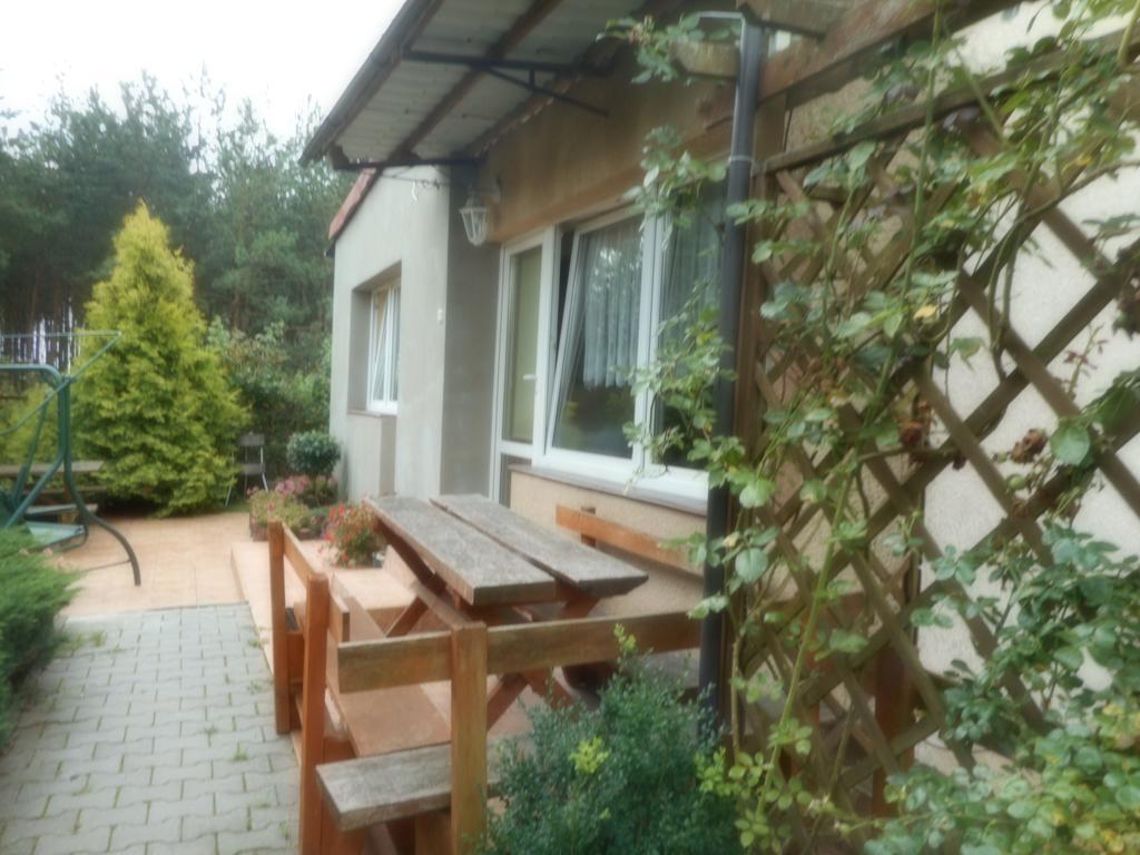Apartament Przy lesie Nowe Zewnętrze zdjęcie