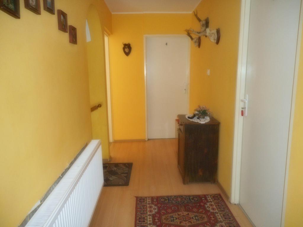Apartament Przy lesie Nowe Zewnętrze zdjęcie