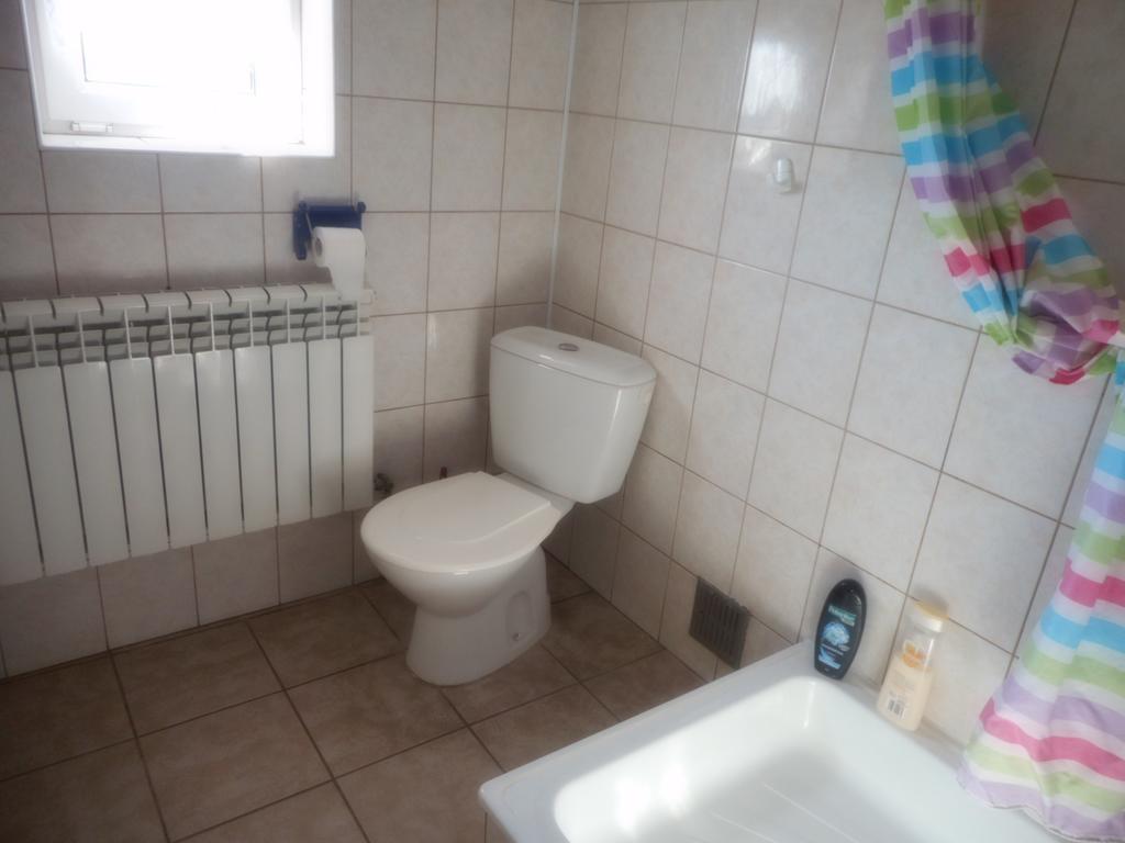 Apartament Przy lesie Nowe Zewnętrze zdjęcie
